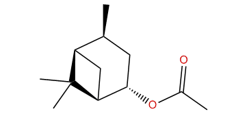 (1R,2S,4S,5R)-4,6,6-Trimethylbicyclo[3.1.1]heptan-2-yl acetate